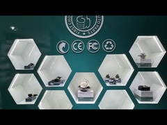 อีวาน โซเนโก้ โชว์รูม