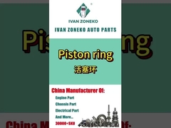 อีวาน โซเนโก้ - พิสตองอิง