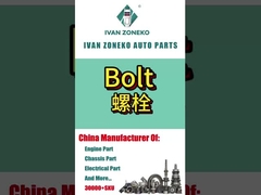 อีวาน โซเนโก้ - โบลท์